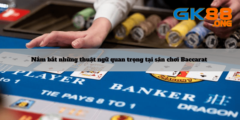 Nam-bat-nhung-thuat-ngu-quan-trong-tai-san-choi-Baccarat