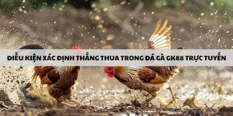 Điều kiện xác định thắng thua trong đá gà GK88 trực tuyến