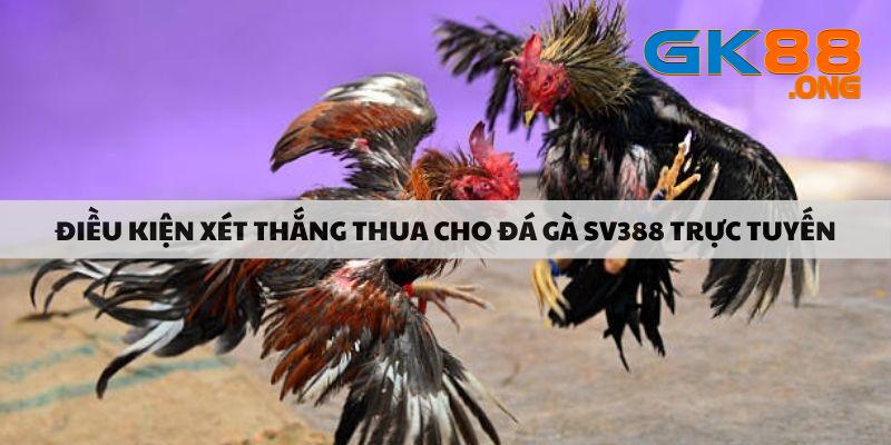 dieu-kien-xet-thang-thua-cho-da-ga-sv388-truc-tuyen