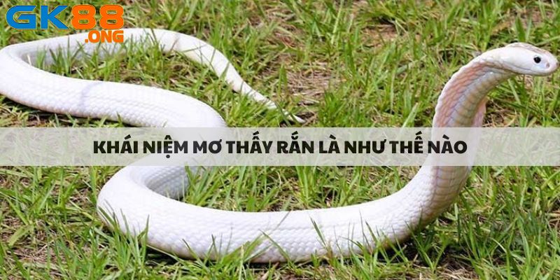 Khái niệm mơ thấy rắn là như thế nào