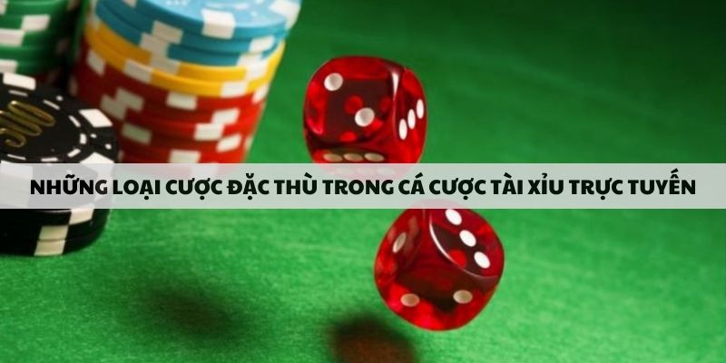 nhung-loai-cuoc-dac-thu-trong-ca-cuoc-tai-xiu-truc-tuyen