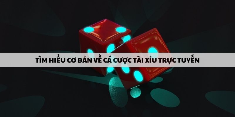 tim-hieu-co-ban-ve-ca-cuoc-tai-xiu-truc-tuyen