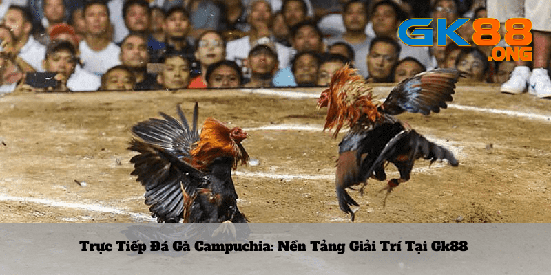 truc-tiep-da-ga-campuchia_-Nen-tang-giai-tri-tai-Gk88